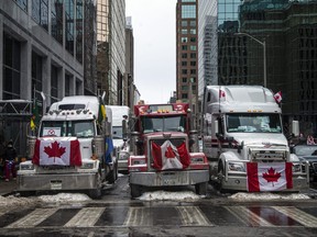 People in downtown Ottawa during the "Freedom Convoy" protest on Feb. 6.
