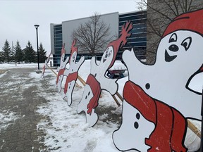 A day of outdoor activities is scheduled to take place Saturday from noon to 4 p.m. at Ecole secondaire publique Odyssee. Carnaval organizers moved the festivities to accommodate the Freedom Convoy protestors who plan to occupy to Lee Park.

Jennifer Hamilton-McCharles, The Nugget