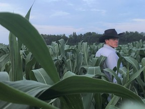 Liam Hamilton in Corn Grazing Crop. (supplied photo)