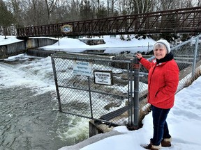 The waters of Big Creek in Delhi will flow fast and furious for the next few days now that a thaw -- coupled with rainfall -- is in the forecast. Checking out the dam on Big Creek in Quance Park Wednesday was Leslie Guthrie of Delhi. – Monte Sonnenberg