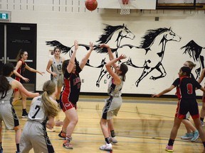 Claire Jane shoots for a basket as the George McDougall Mustangs try to take the game back from the Chestermere High School Lakers on February 16. The Mustangs made a comeback on the scoreboard in the second half, but ultimately lost 28 - 54.