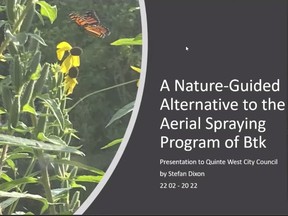 The first slide of Stefan Dixon's presentation made to Quinte West City council on alternatives to the spraying of BTK in order to combat LDD moths.
