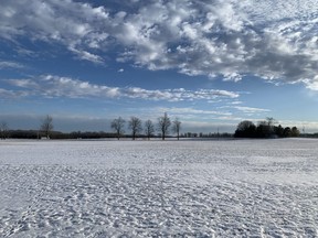 Ilderton's snow-trampled fields in winter are perhaps a mirror image of the beautiful cloud-flecked sky.