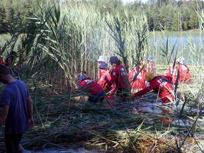 Phrag Fighters take on phragmites in Lake Bernard last summer. The invasive plants are considered the No. 1 threat to wetlands and inland lakes in North America. 
Dan Burton Photo
