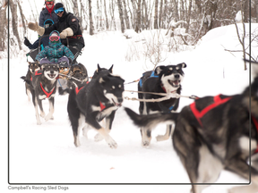Aaron Campbell and his team of dogs have are World Champions. Photo: Coralie's Photography/Campbell's Racing Sled Dogs/ Coralie Spratt