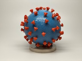 An undated photo shows a 3-D print of a SARS-CoV-2 particle, also known as novel coronavirus, the virus that causes COVID-19.  PHOTO FILE