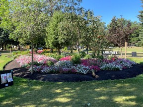 Volunteers have been tending to the gardens in Centennial Park for more than two decades. (Devon Communities in Bloom)