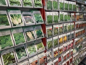 For most gardeners, the need for seeds can be met by looking no further than the selection offered in display seed racks. For fussy gardeners, gardening expert John DeGroot recommends buying at a mail order seed supplier. Some still offer paper catalogues, but most business will be done on-line. John DeGroot photo