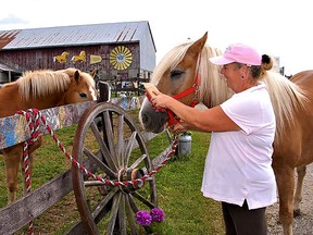 Kelly Tallon Franklin prepares one of the horses for the Horses that Heal program run by Courage for Freedom, a charitable organization she founded to help victims of human trafficking. Submitted