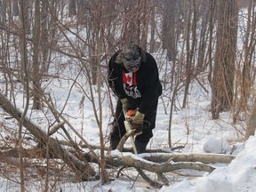 A man cuts firewood near where supporters gathered Sunday on land next to a “Freedom Convoy” demonstration that has led to the shutdown of a section of the westbound lanes of Highway 402.