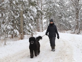 Sandra Schultz walks her dog, Finn, under snow-covered trees at Fielding Memorial Park in Greater Sudbury, Ont. on Monday February 7, 2022. John Lappa/Sudbury Star/Postmedia Network