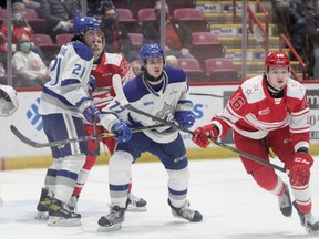 Sudbury Wolves defenceman Nolan Collins (77) jockeys for position alongside Soo Greyhounds forward Landen Hookey (16) while Sudbury's Alex Pharand (21) and the Soo's Ethan Montroy (39) watch the play during first-period OHL action at GFL Memorial Gardens in Sault Ste. Marie, Ontario on Wednesday, February 23, 2022. At deadline, the game was in overtime. Go to www.thesudburystar.com for a full story. Gordon Anderson/Postmedia Network