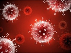 An illustration of the novel coronavirus that causes COVID-19.  (Photo by Chakisatelier/Getty Images)
