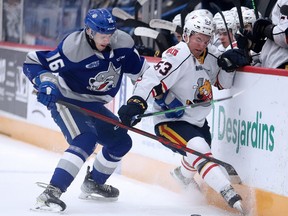 Nick DeGrazia (16) of the Sudbury Wolves battles for the puck with Beau Jelsma (53) of the Barrie Colts during Sunday afternoon OHL action at Sudbury Community Arena. The Colts defeated the Wolves 8-4.