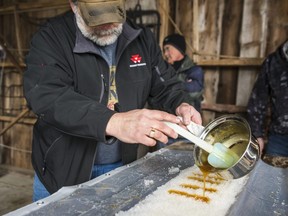 Derek Whitney makes maple taffy, maple syrup frozen by snow, for O'Hara Mill Homestead and Conservation area visitors during their 1850s Sugar Bush event. Saturday in Madoc, Ontario. (ALEX FILIPE photo)