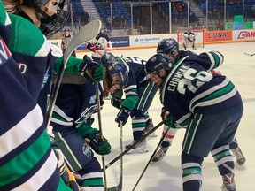 Nipissing Lakers women's hockey team is coming off a tight loss to the Brock Badgers 2-1 during Saturday night's McCaw Cup championship final at Memorial Gardens. The team is now headed to Prince Edward Island to compete in the USports National competition.