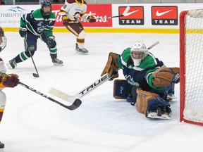 The Nipissing Lakers women's hockey team is bringing home the silver medal in its first-ever national championship appearance.