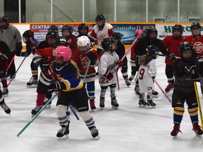 Exeter/Seaforth Ringette held a free tryout March 24 in Hensall. Dan Rolph