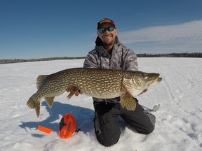 The late ice season is the best time of the year to catch a trophy pike.
