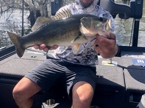 Jeff Gustafson with one of the bass he caught over the weekend at Santee Cooper Lake.