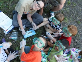 Registration for Science North summer science camps is now open.