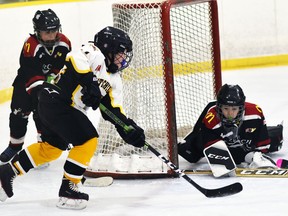 Luke Linton (17) of the Mitchell U11 LL hockey team can't get the puck past Zurich goalie Rilan Regier during WOAA round-robin playoff action in Mitchell Feb. 26. The Meteors dropped their first postseason game 3-1 to the visiting Thunder with Daxton Baker Mitchell's lone scorer. ANDY BADER/MITCHELL ADVOCATE