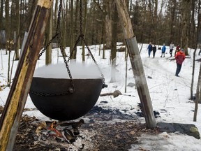 Maple sap boils and evaporates in a large hoisted cauldron as visitors walk toward the demonstration showing how maple syrup was produced in the early 1850s.