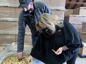 Daniel Keresturi, of Keresturi Farms, shows Lisa Thompson, Ontario Minister of Agriculture, Food and Rural Affairs, ginseng during a tour Friday of the Scotland-area farm. Thompson announced a new loan guarantee program for ginseng growers. Vincent Ball