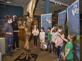 Waterford Heritage and Agricultural Museum volunteers Avalon Martin (left) and Justin Vinnai show an exhibit on the Marburg Mastodon to a group of children.  Delhi District Secondary School student Sam Welsh created the design and artwork for the information banners of the exhibit, which continues to the end of June.  Brian Thompson