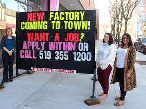 Staff at Canadian Executive Search Group Inc. have been processing job applicants hoping to land a position at a Tier 1 automotive parts plant coming to Chatham. Sandy Peck (left), senior recruitment specialist, Jessica Foss, finance manager and Amanda Jenkins (left), finance administrative assistant, say the sign promoting the jobs is also attracting attention. Ellwood Shreve/Postmedia