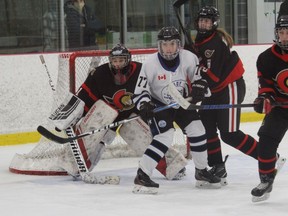 Cornwall Lady Royals player Chanel Thompson drives traffic in net for the Ottawa Senators U18 team.  Pictured on Saturday, March 5, 2022 in Cornwall, Ont. Todd Hambleton/Standard-Freeholder/Postmedia Network