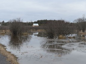 Flooding from the Beaudette River has reached the shoulder of Chapel Road in South Glengarry. Pylons have been installed and the Raisin Region Conservation Authority has cautioned locals on Thursday March 24, 2022 in South Glengarry, Ont. Shawna O'Neill/Cornwall Standard-Freeholder/Postmedia Network