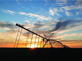 Sunset in Burleson County on May 2, 2021. (Laura McKenzie/Texas A&M AgriLife Marketing and Communications)