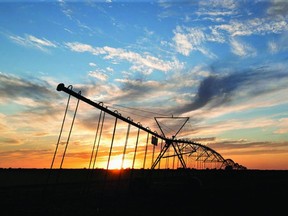 Sunset in Burleson County on May 2, 2021. (Laura McKenzie/Texas A&M AgriLife Marketing and Communications)