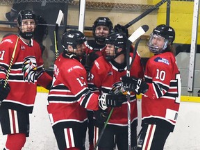 Callum McMann, Nolan Gagnier, Aiden McMann and Zach Dow (10) congratulate Ryan Murray after his goal during Game 3 of the Mitchell Hawks' PJHL Pollock division quarter-final series with the Goderich Flyers March 13 in Mitchell. The Hawks would go on to record a 10-2 win and eventual four-game sweep of the series. ANDY BADER/MITCHELL ADVOCATE