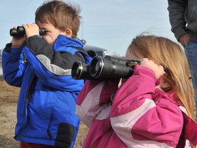 Ben and Megan Waite, of London, are shown in this file photo watching tundra swans on the Thedford Bog.