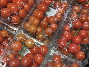 Home-grown tomatoes taste better than those purchased in the store, says gardening expert John Degroot. Tomatoes are the most popular vegetable grown in home gardens. Tomatoes are gratifying to grow, give rewards from mid-summer to fall, and have taste that is hard to beat. John DeGroot