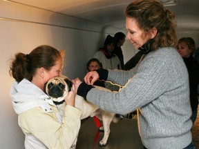 Dog and cat rabies vaccination clinics returning to Lambton County Dog and cat rabies vaccination clinics returning to Lambton County