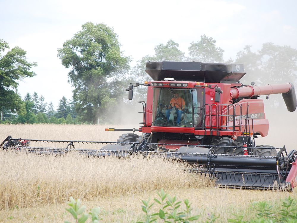 Western University students recruiting grain farmers
