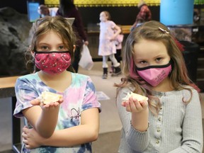Ayriana McCoshen, 7, left, and Ava Dunphy, 7, visit the Nature Exchange at Science North in Sudbury, Ont. on Tuesday March 15, 2022. John Lappa/Sudbury Star/Postmedia Network