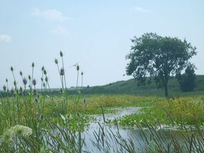 A photo of the Bowen's Creek Habitat Management Area. Handout/Sarnia This Week