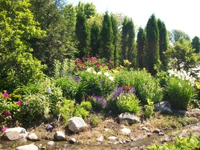 Perennials in the garden. (Angela Lassam Photo)
