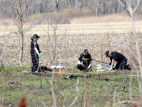 A fifth person has now been charged with the murder of Windsor resident Oyebode Oyenugam, whose remains were found in a marshy area of Walpole Island First Nation a year ago. Members of the OPP forensic identification unit were photographed while meticulously scouring a section of land on April 13, 2021. Ellwood Shreve/Postmedia