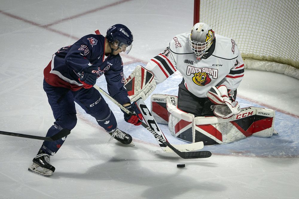 Spitfires' Daniel D'Amico Named OHL Player of the Week 