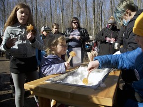 Hundreds of people celebrated the first day of spring at the Regal Point Elk Farm near Oxenden this past weekend for the return of Maple Magic, the Rotary Club of Wiarton's Family Festival and Breakfast featuring the farm's fresh maple syrup. Greg Cowan/The Sun Times

From left to right, Esme Vanderaa Gilpin, 8, and Kali Eden, 5, enjoy fresh snow-made maple taffy done by Max Murray, 10, and Wesley Robinson, 12.