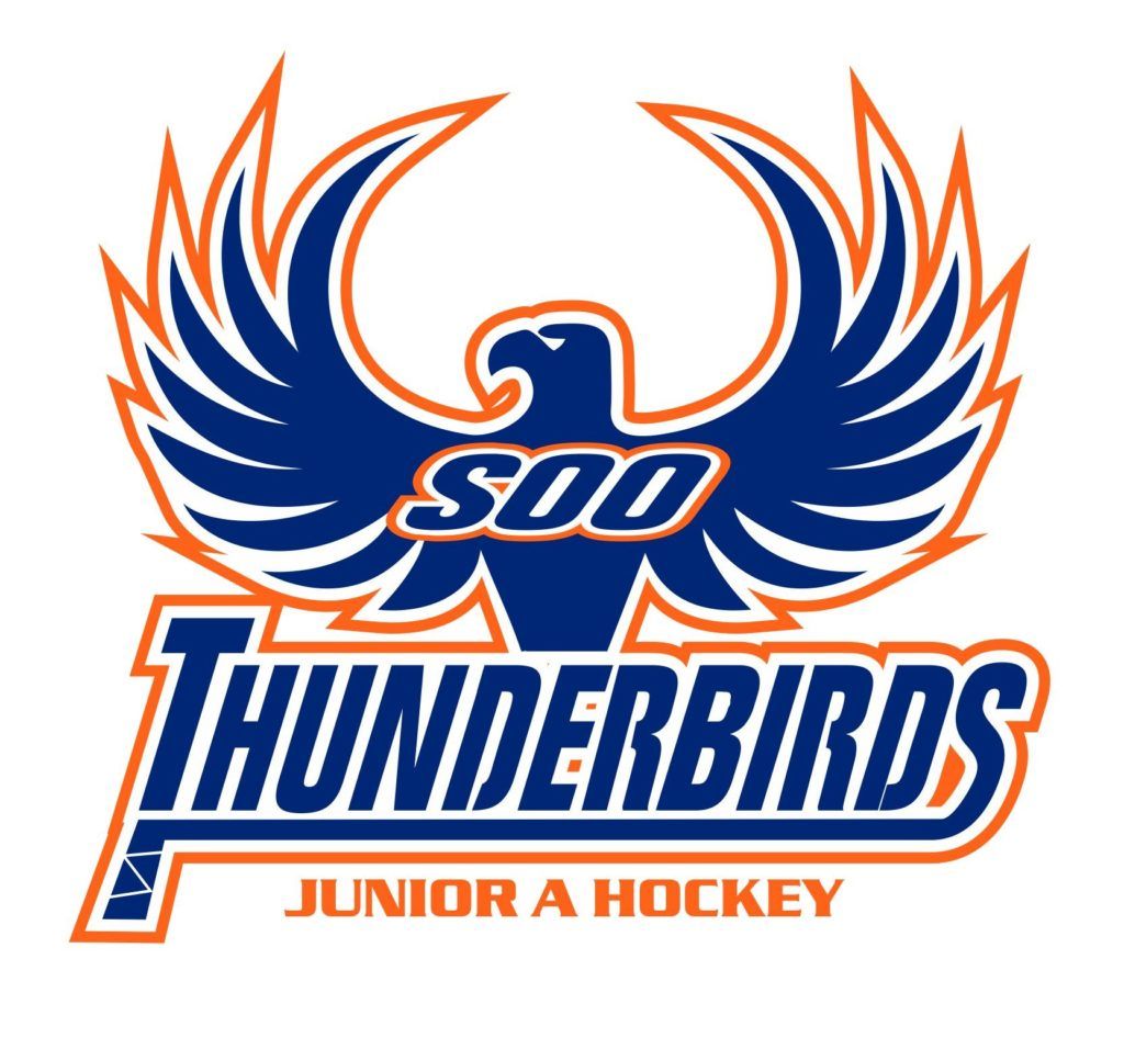 Thunderbirds edge Cubs in OT, lead West Division final 3-1 | The Daily ...