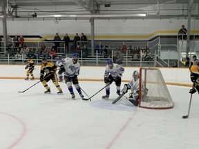 The Nanton Palominos won the Ranchland Hockey League last season.