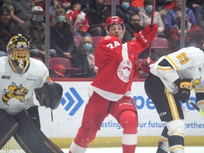Hounds forward Cole MacKay in recent OHL action against the Sarnia Sting. The Sault Ste. Marie resident notched his 200th OHL point in a 6-3 road win over the Flint Firebirds on Friday night.