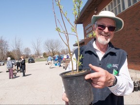 1: Don Farwell, co-ordinator of the Stratford and Area Master Gardeners, holds a young tree outside Avondale United Church, where the group will sell hundreds of native trees and shrubs on Saturday. Chris MontaniniStratford Beacon Herald