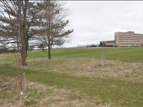 NeighbourWoods North plans to begin the first phase of its Healing Path project on the grounds of the Owen Sound hospital. The organization has issued a request for quotes for the first phase of the project, which is a 373-metre stretch on the southwest area of the property.